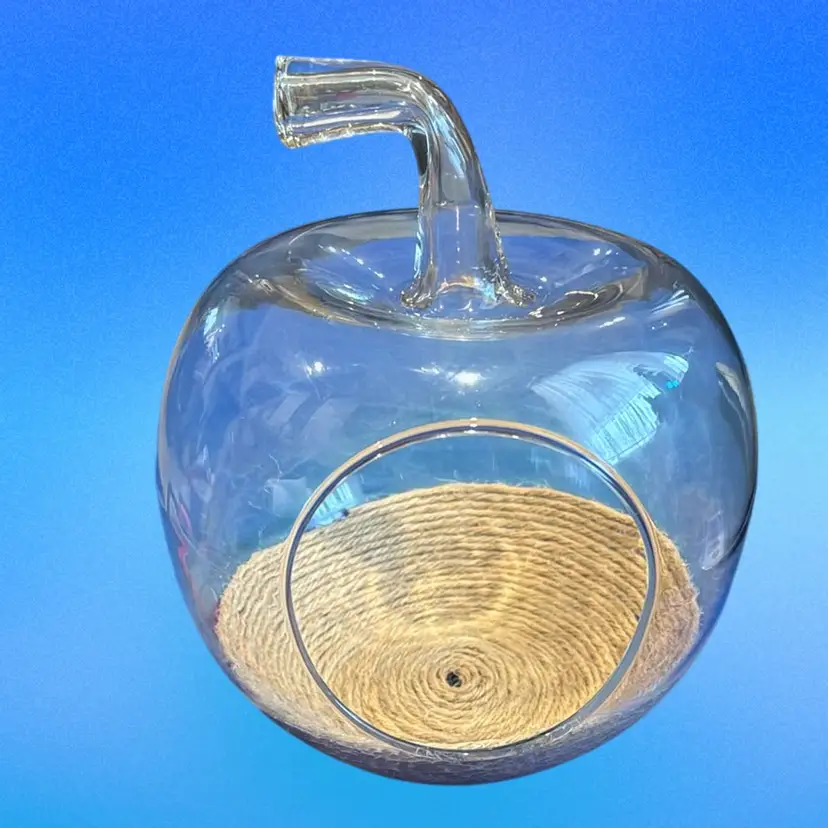 Glass Apple Terrarium With Rope Base
