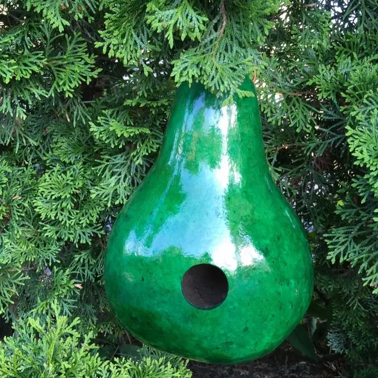 Gourd Birdhouse Stained Handmade