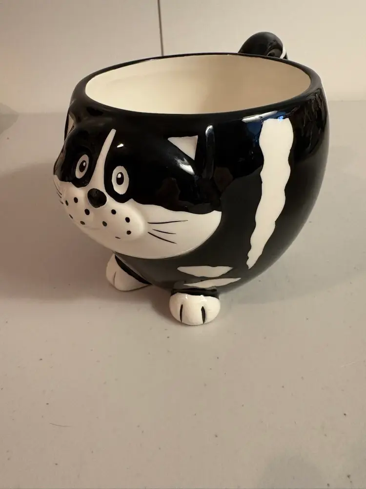 Pier 1 Chubby Cat Mug