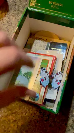 #11 Mystery Box of Vintage/Antique Ephemera My Father Tabacos Baez Serie SF Toro Green Cigar Box