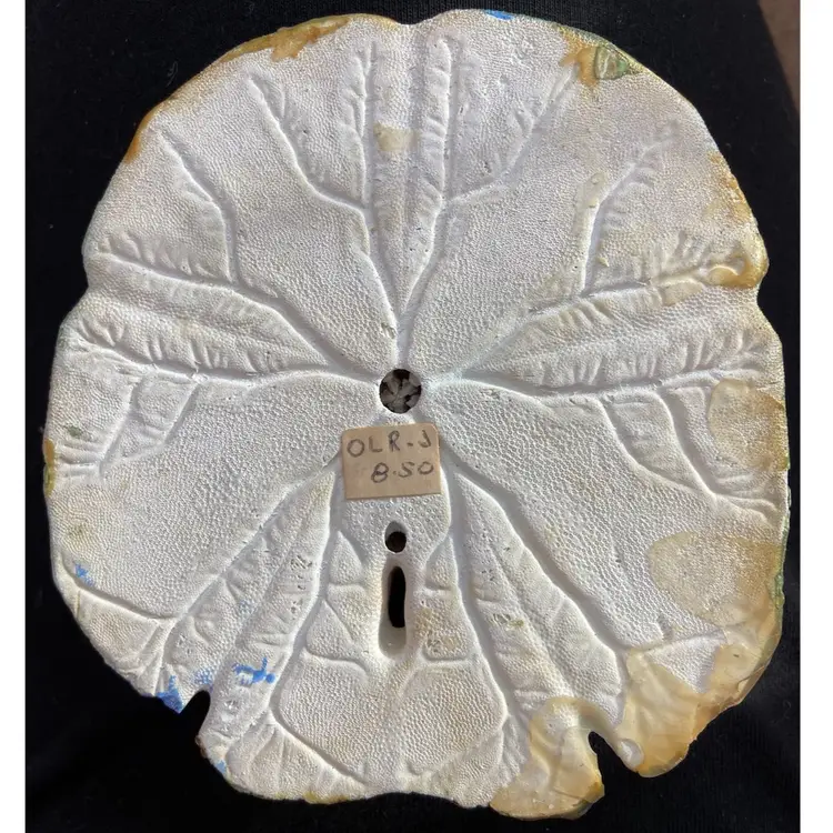 Hand Painted Sand Dollar Art. Masted Ship At Sea Motif. Signed Coleman (?). 4” x 3.75.