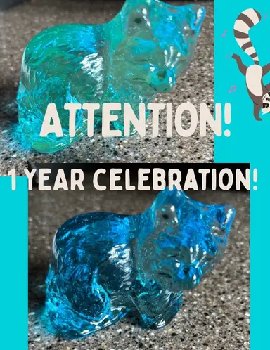 CELEBRATE 1 YEAR ON HERE! 💕