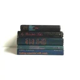 Lights on Darks book stack / vintage book stack in dark tones / Victorian decor / navy & black book stack / stack with pretty book spines