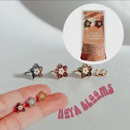 18k Gold Plated - Hoya Blooms | Earrings Studs