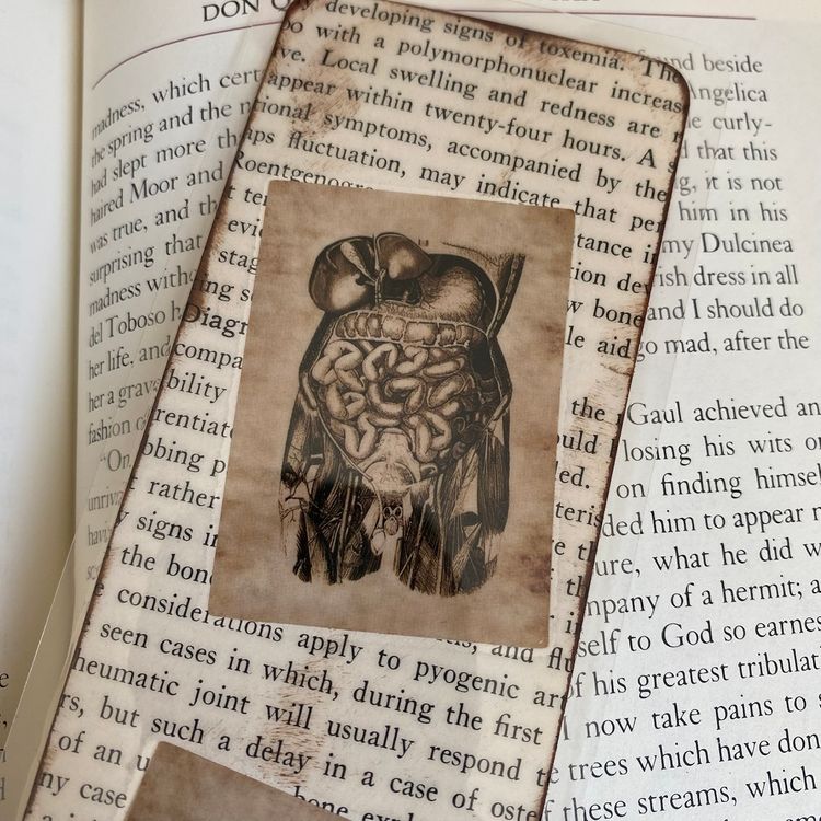 Guts And All Dark Academia Bookmark
