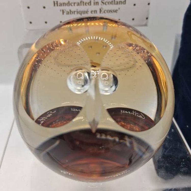 Caithness, Scotland NEW IN BOX, WISE OWL, Paperweight, Small Version