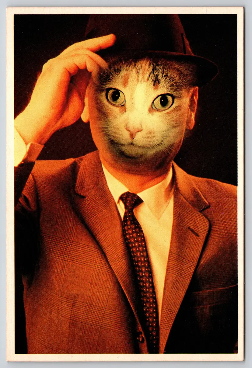 Postcard Cat Man with Fedora Hat and Suit by Alfred Gescheidt Felis catus - 13595