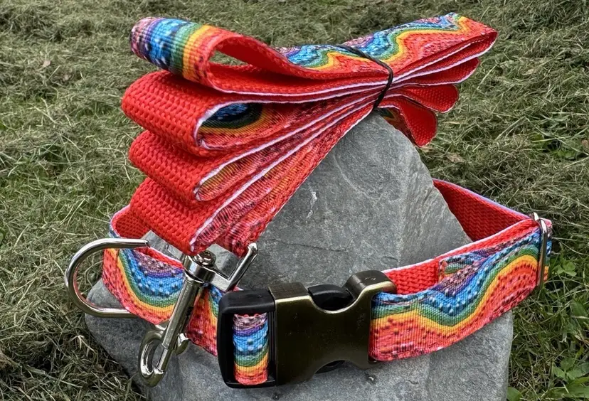 Large Handmade Heavy Duty Dog Collar & Leash Rainbow Multi Color Print