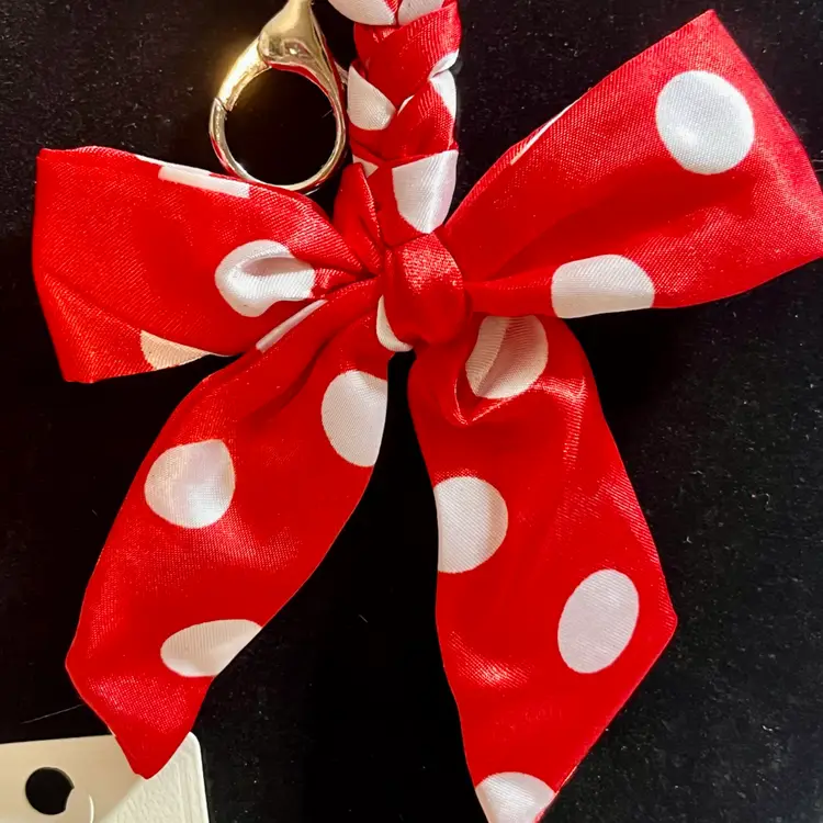 Choice Of Sets Satin Ribbon Polka-dot Bag Purse Charm Keychain