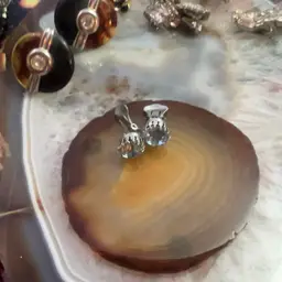 #03 - Peacock Listing