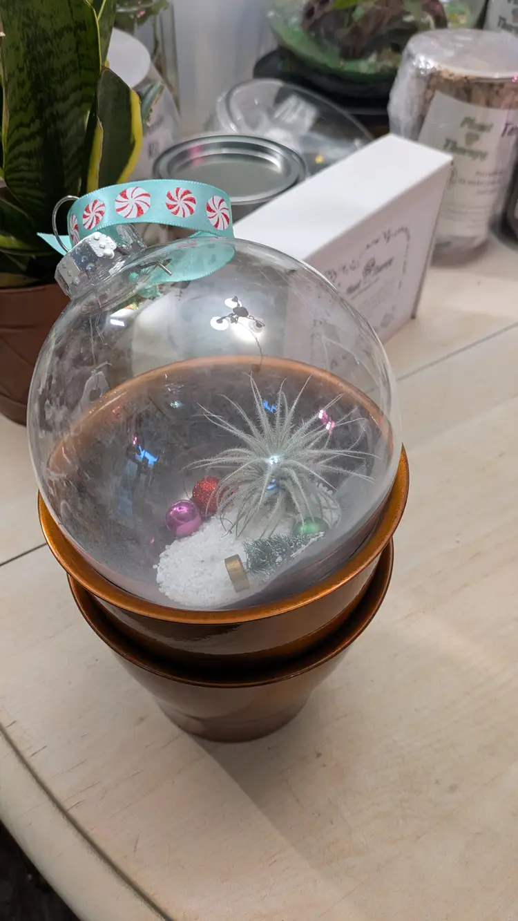 Christmas Ornament Snow Globe w/ Air Plant