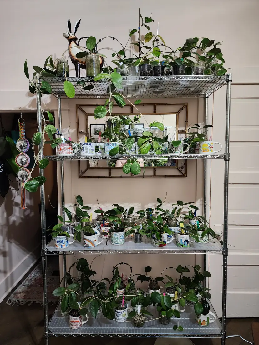 Livestream thumbnail