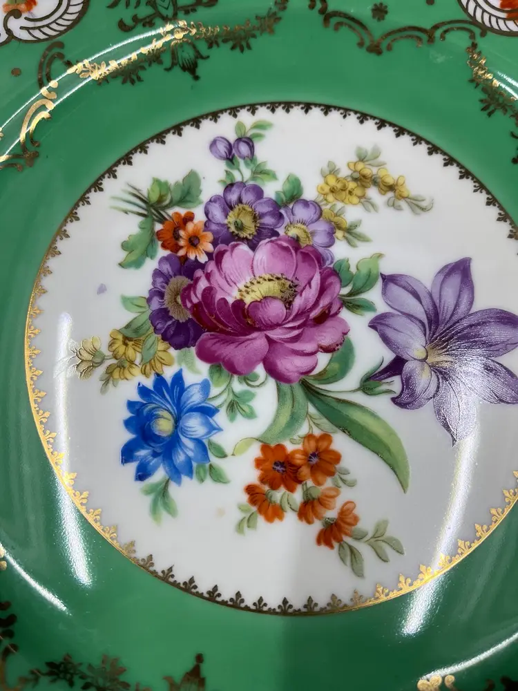 Vintage Czechoslovakia Ornate Porcelain 10.75 inch Plate