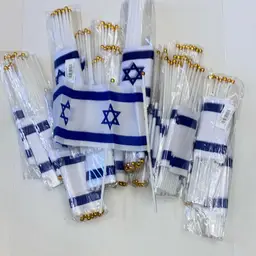 #06 Israel Yard Flag