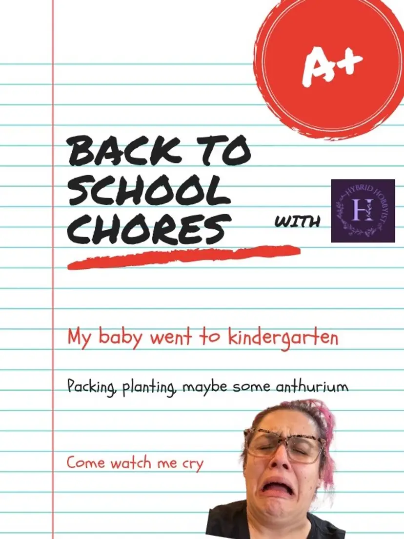 Livestream thumbnail