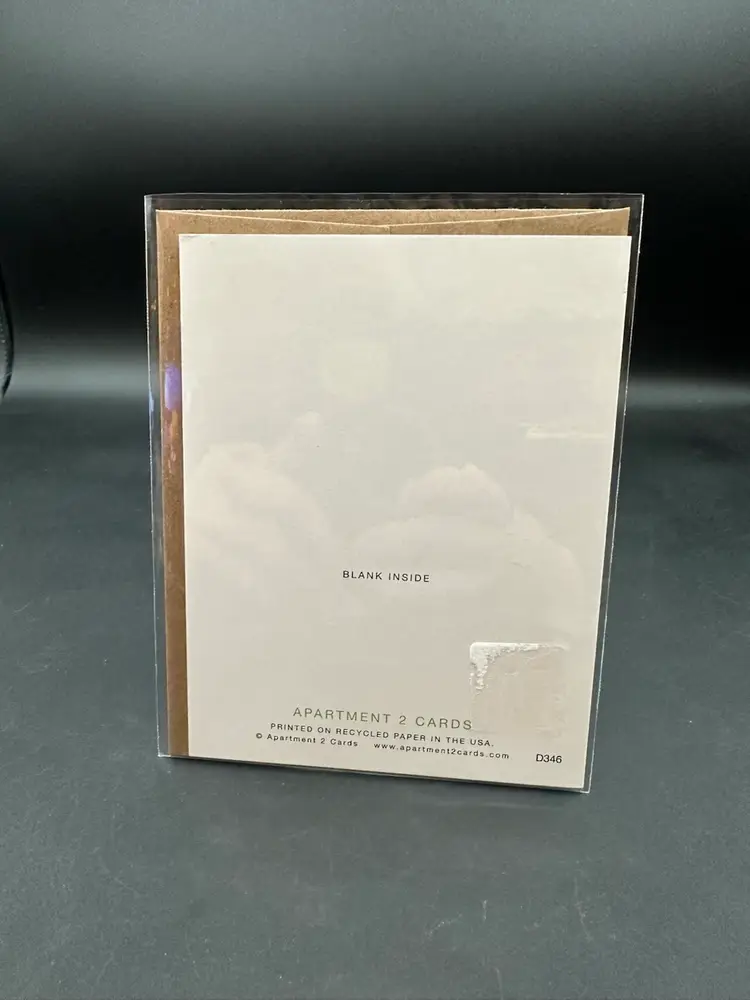 Adorable Meerkats “You Make Me Feel All Lovey Inside” Greeting Card, New, Unused