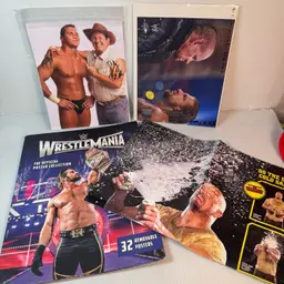 Wrestling Posters And 8x10 Lot