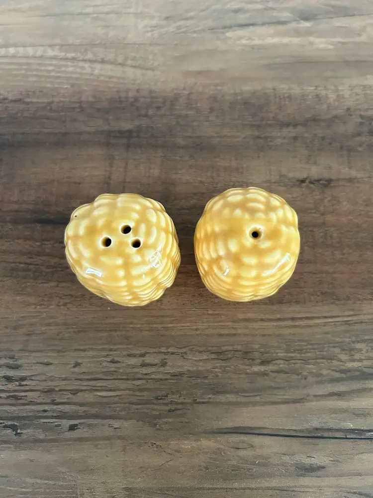 Ceramic Corn Cob Shaker Set