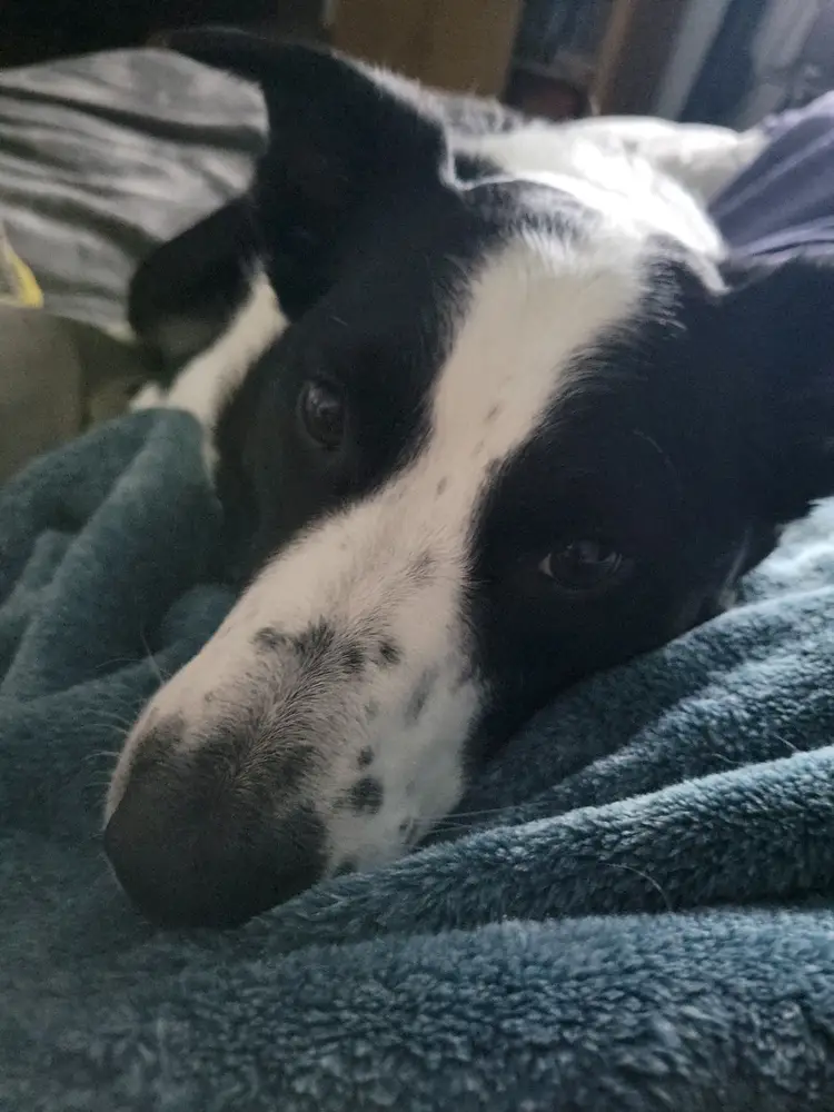 33s and 45s liquidating from antique booth lower end records