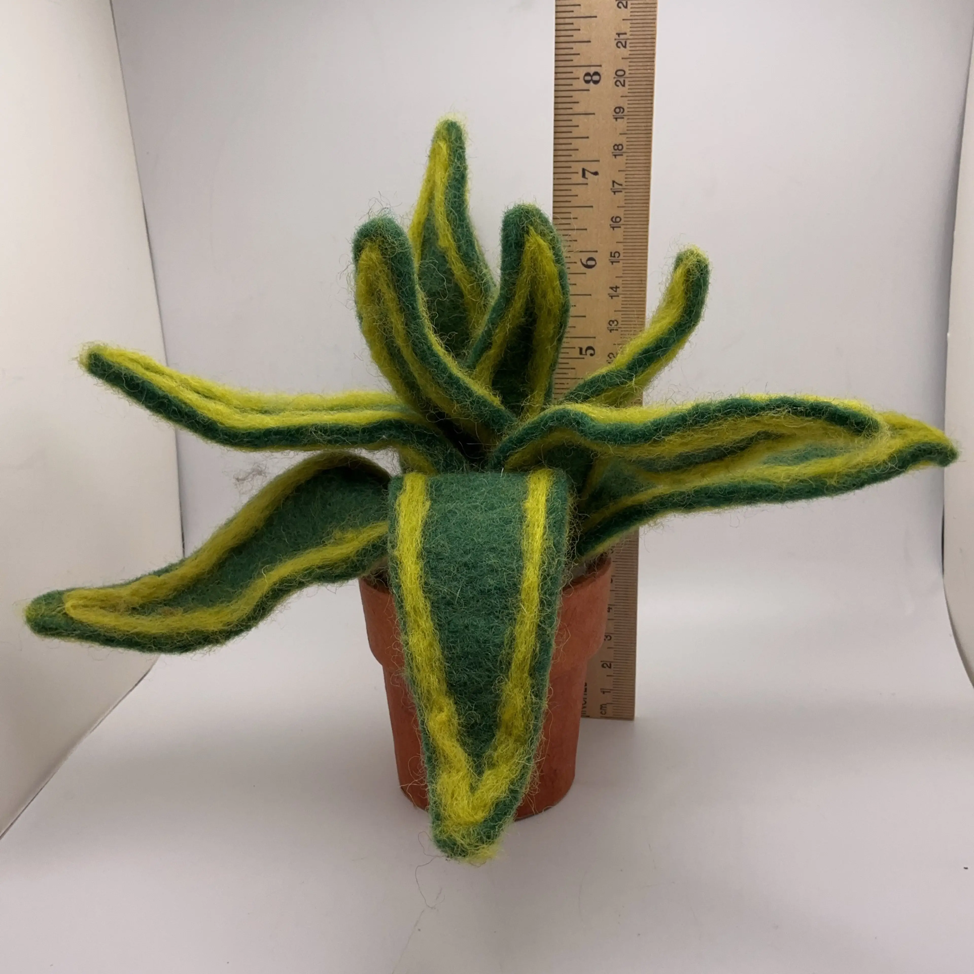 Image 2 of 3