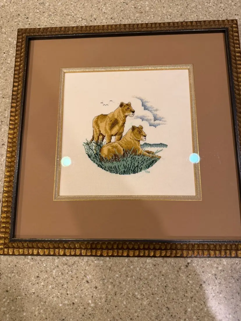 Stunning, Professionally Framed Crosstitch Decor