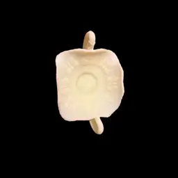 18 Fenton Butterfly Bon Bon Dish