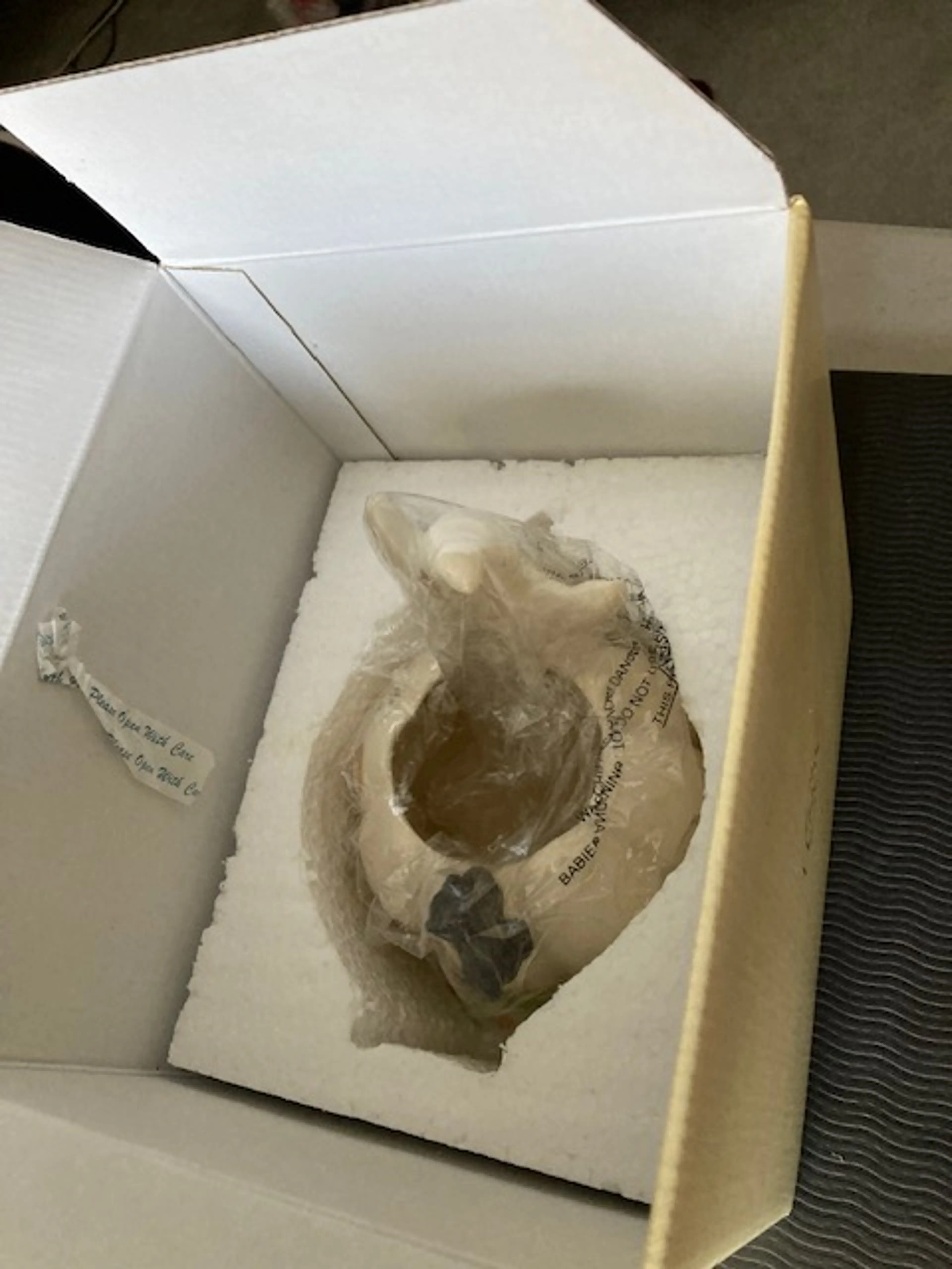 Image 5 of 7