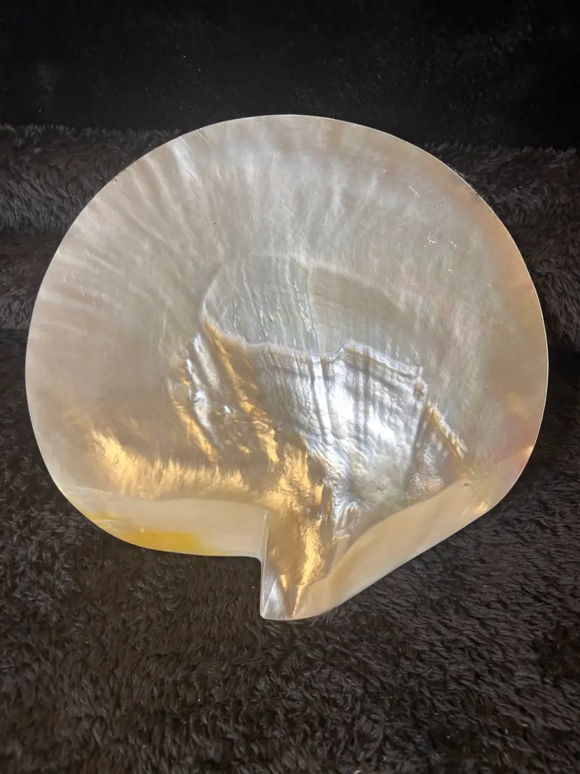 NATURAL MOTHER OF PEARL CAVIAR  SERVING DISH