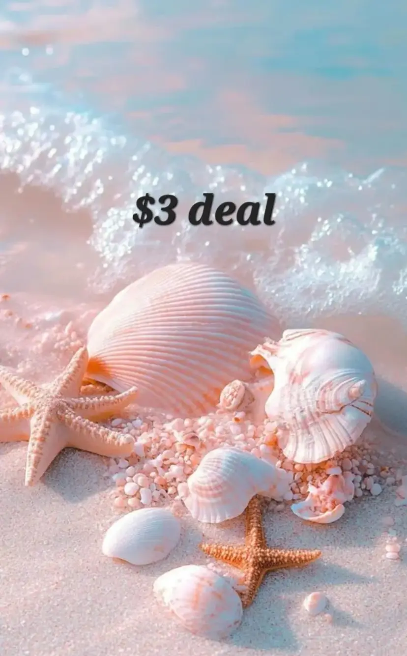 $3 ~ SB on seashell necklaces
