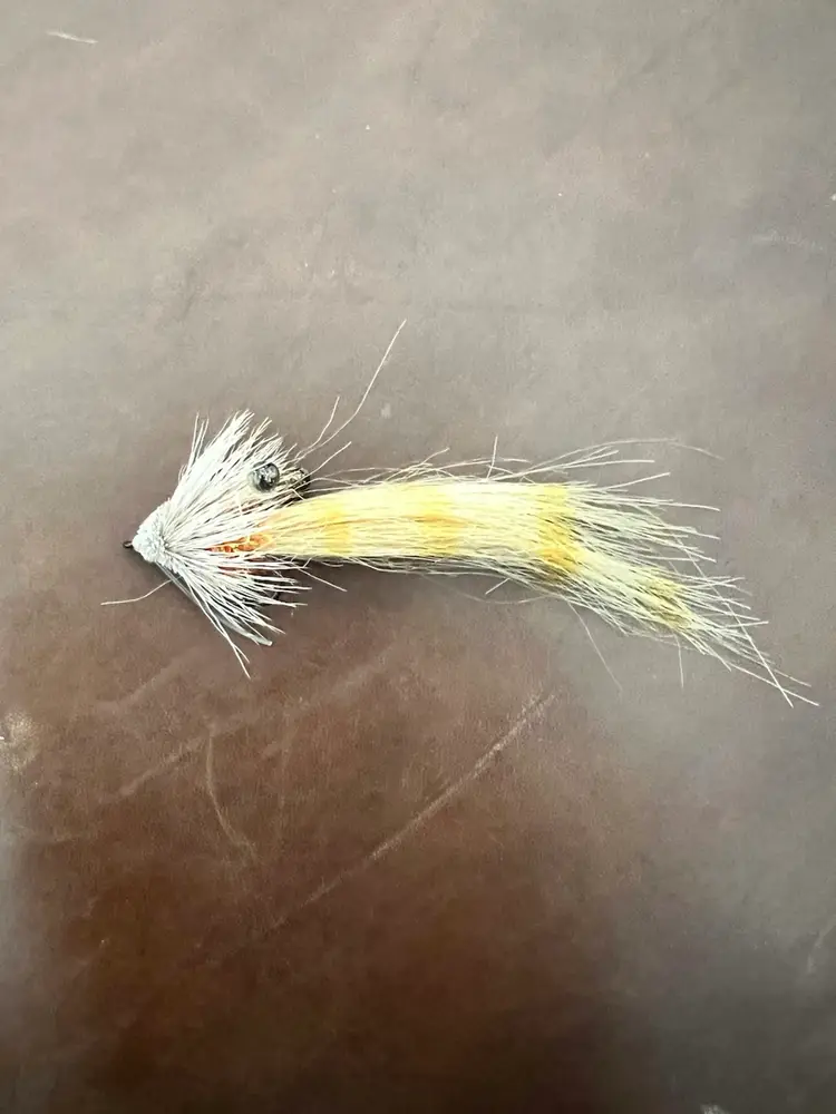 Gulf Saltwater Shrimp