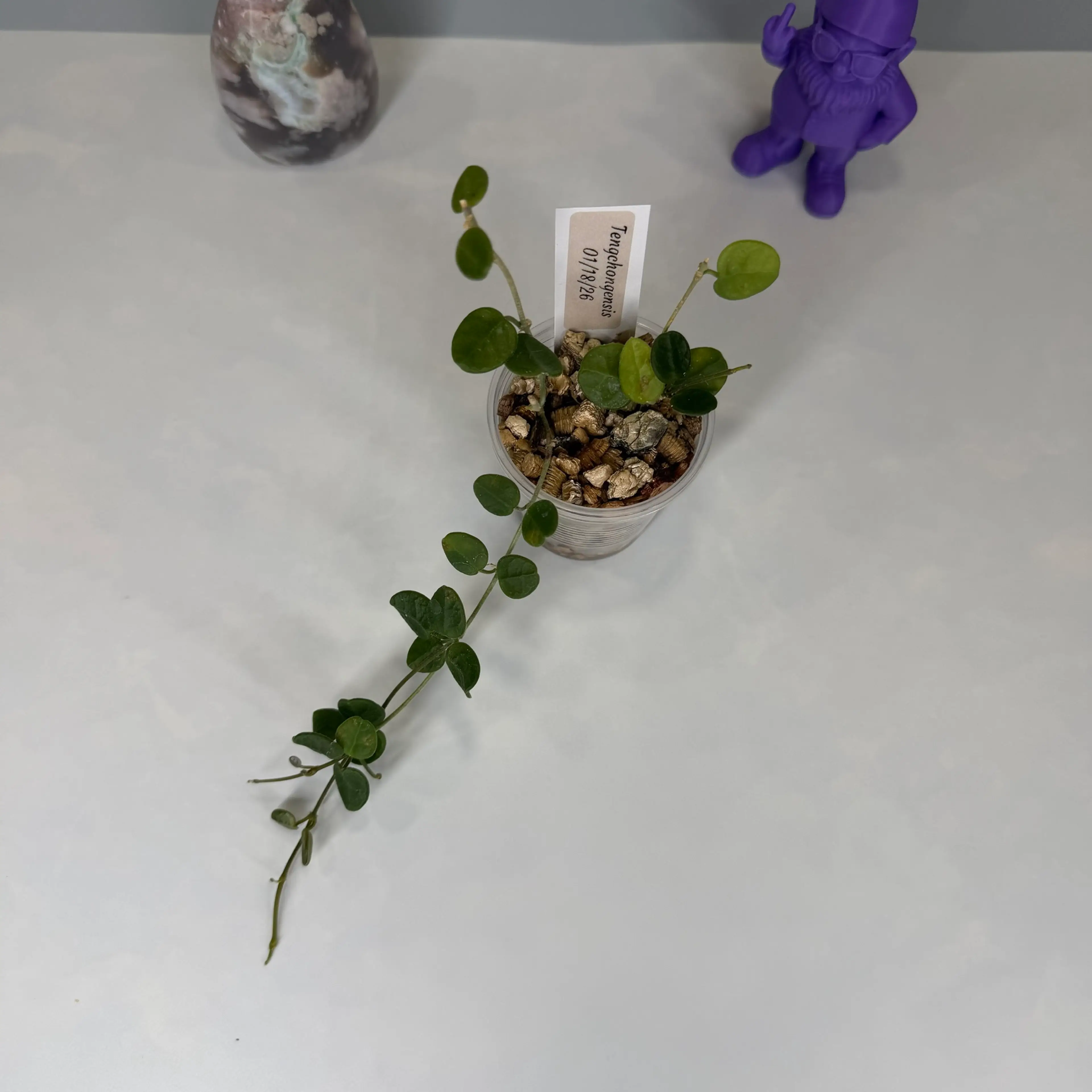Image 2 of 2