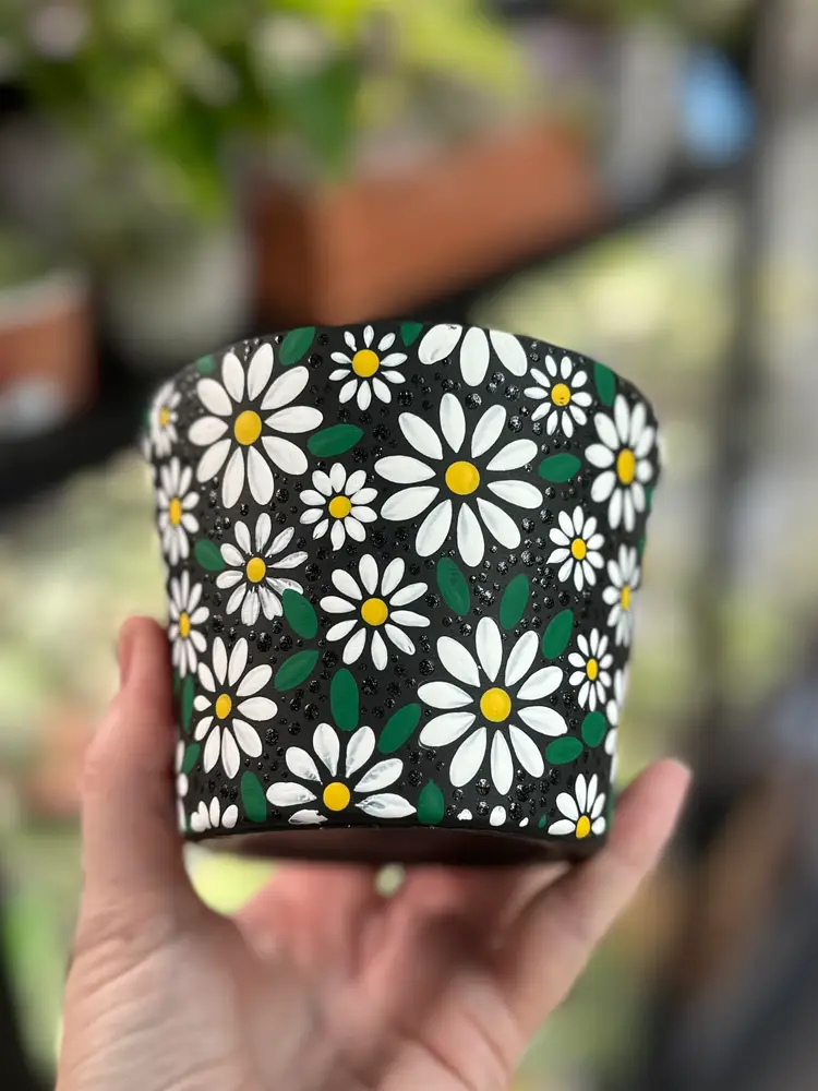 #01 Choose Your Size Daisy Pot
