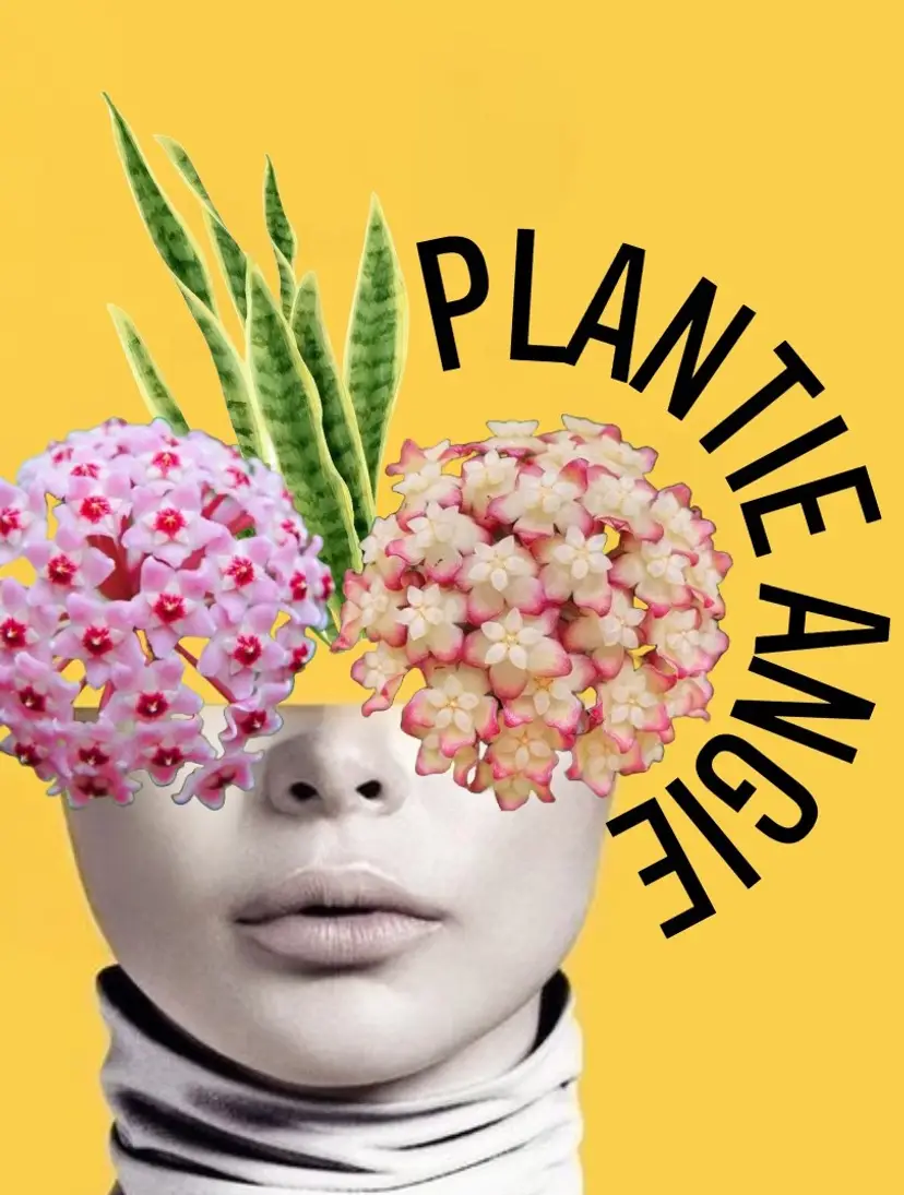 Livestream thumbnail