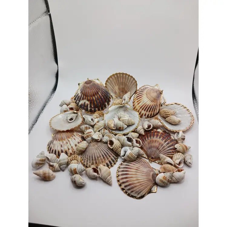 Natural Shell Pendants and Beads