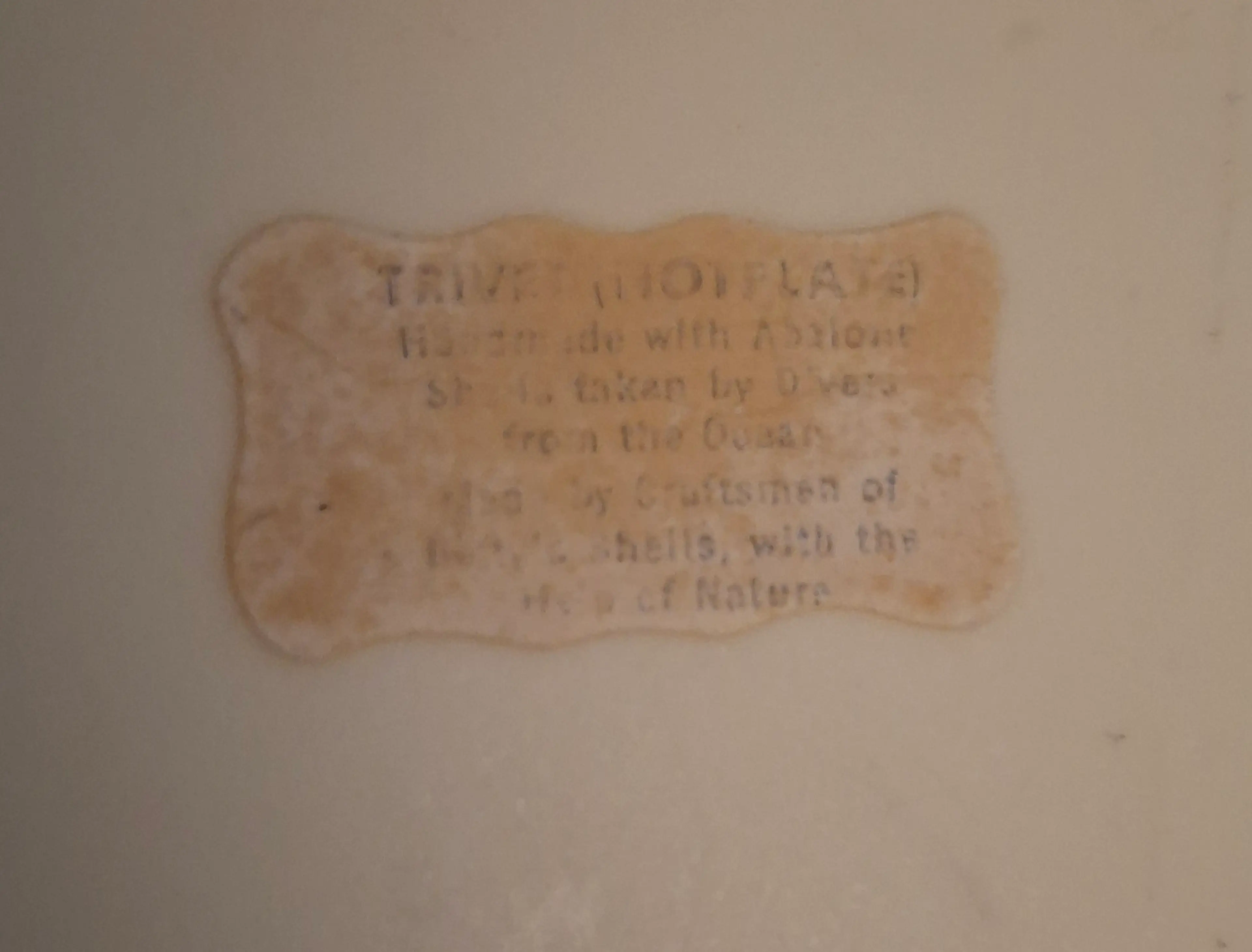 Image 5 of 5