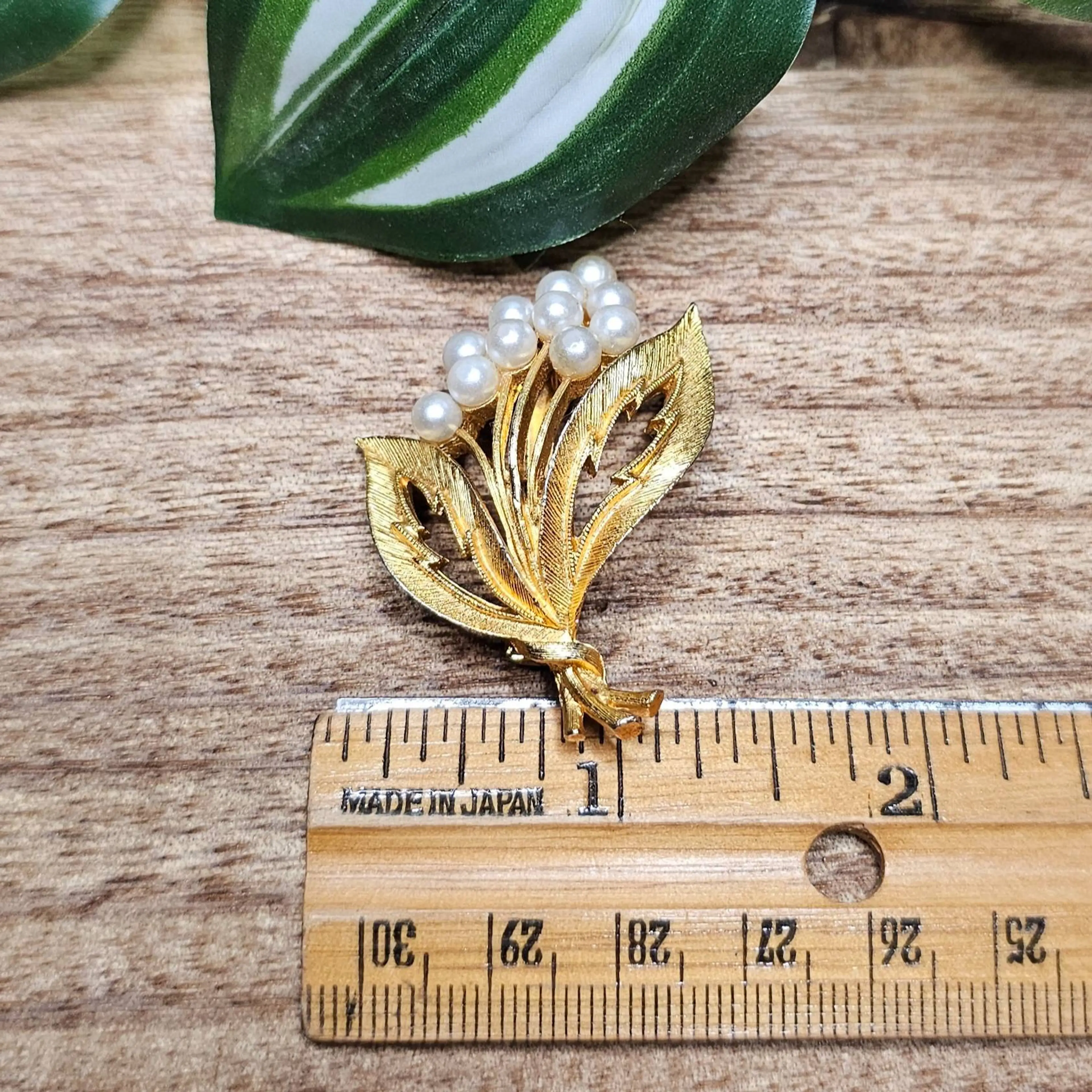 Image 4 of 5