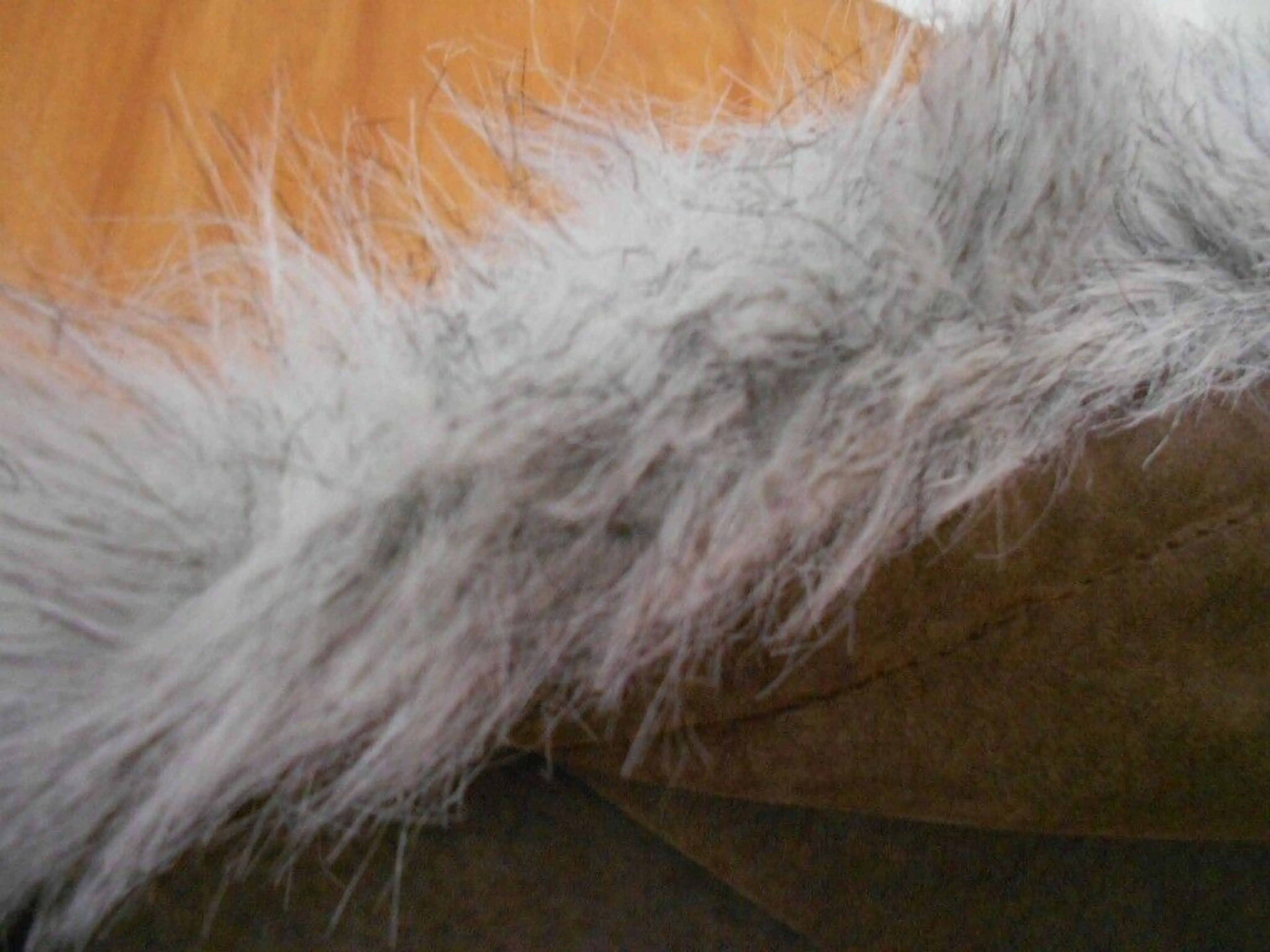 Image 5 of 8