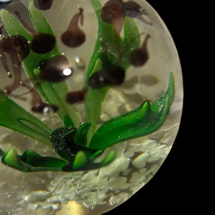 Aquatic Art Glass Paperweight, Tadpole Glass. No Chips Or Cracks.
