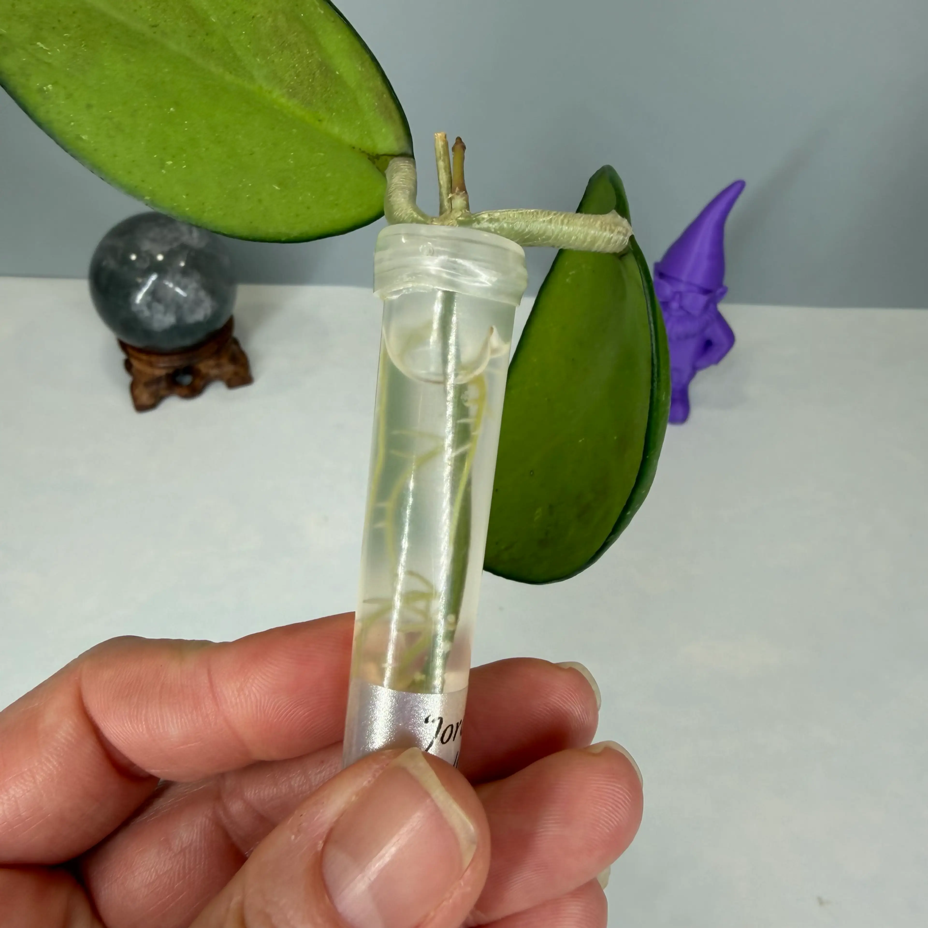 Image 4 of 4