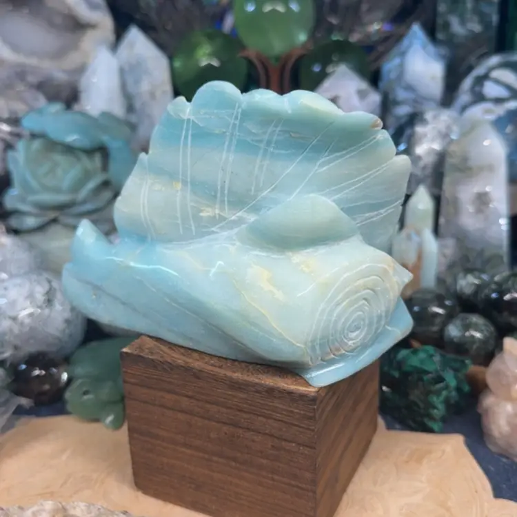 Bats On Leaf Caribbean Calcite