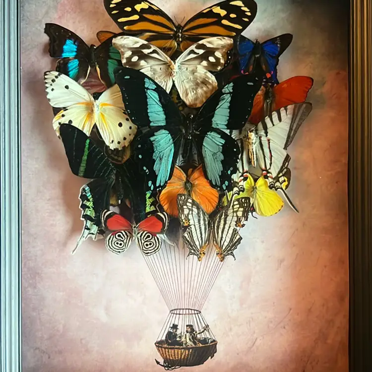 Artisan Made Real Butterfly Art 🦋 Stunning - 12”x 10”