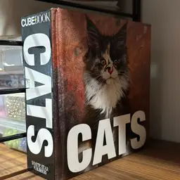 Cats - Cube Book