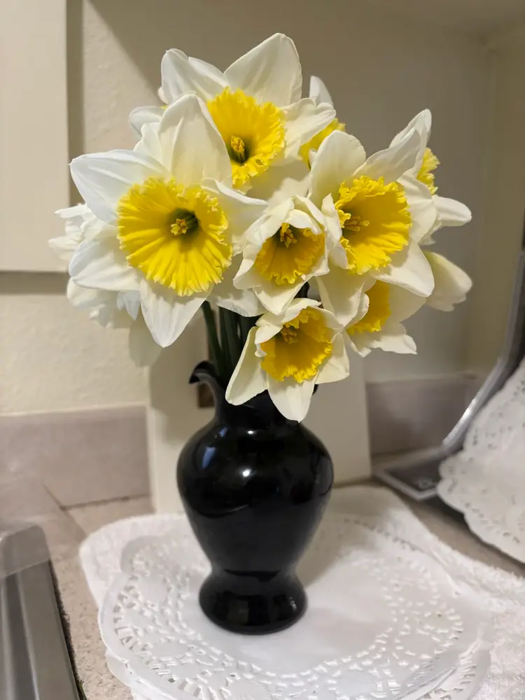 🌈Please See Host Notes☀️🪁