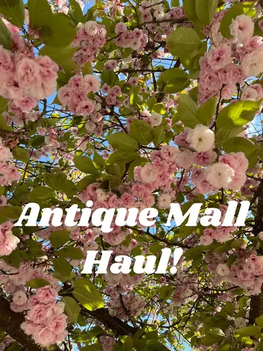 Antique Mall Haul (Part 2)! 🌸 with Koalatea 🐨