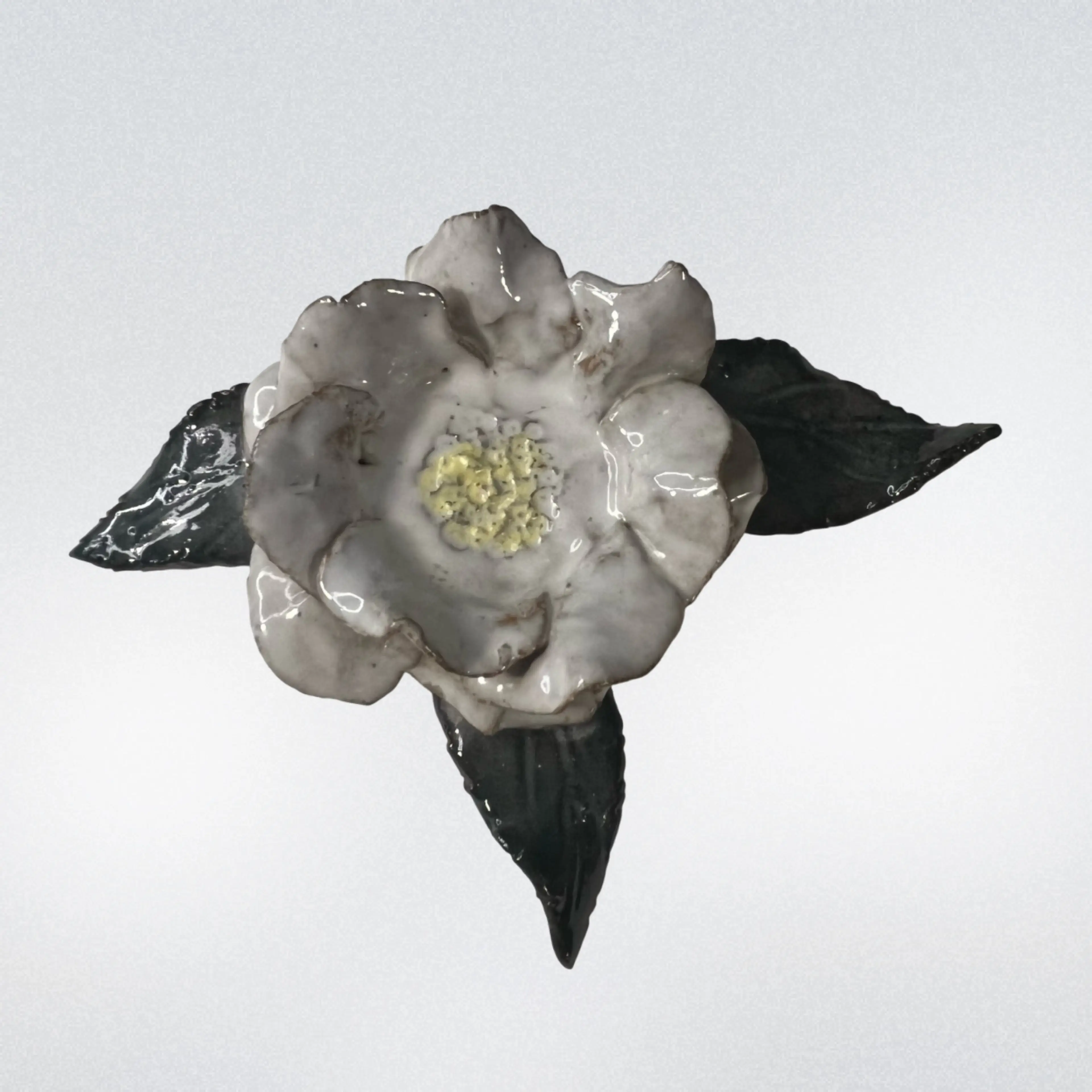 Image 2 of 5