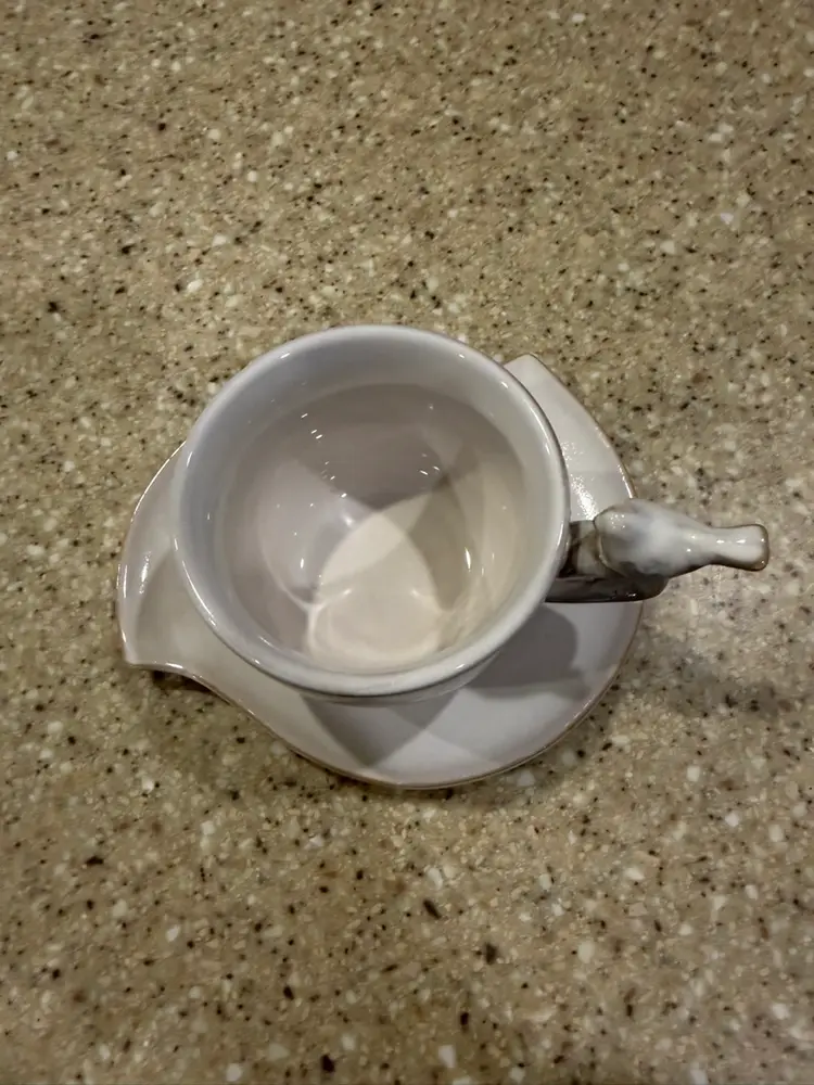 World market tea cup with bird and a saucer