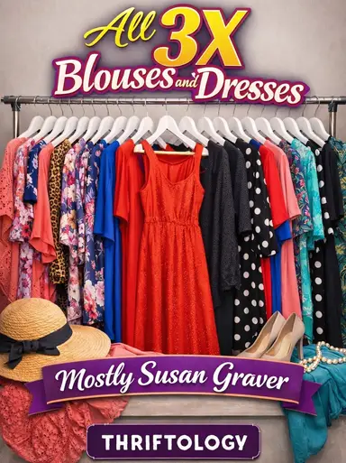 All 3X Women’s Tops And A Handful Of Dresses