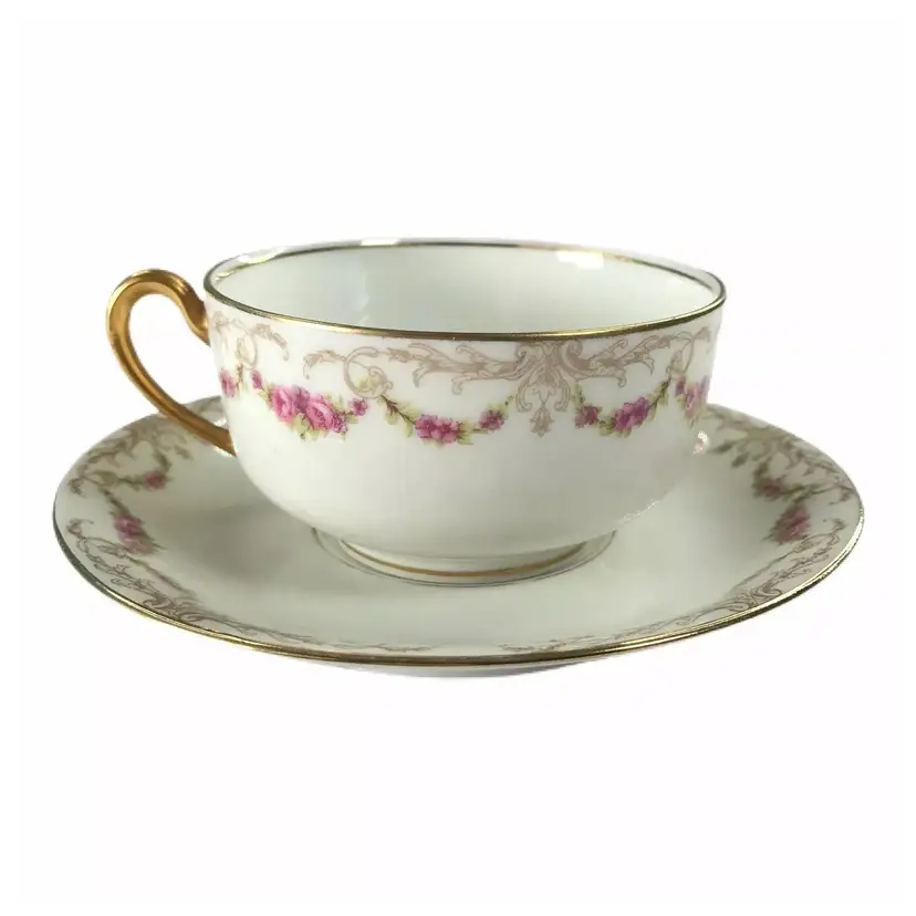 Limoges France Tea Cup & Saucer Pink Roses Floral Bawo & Dotter Elite Works