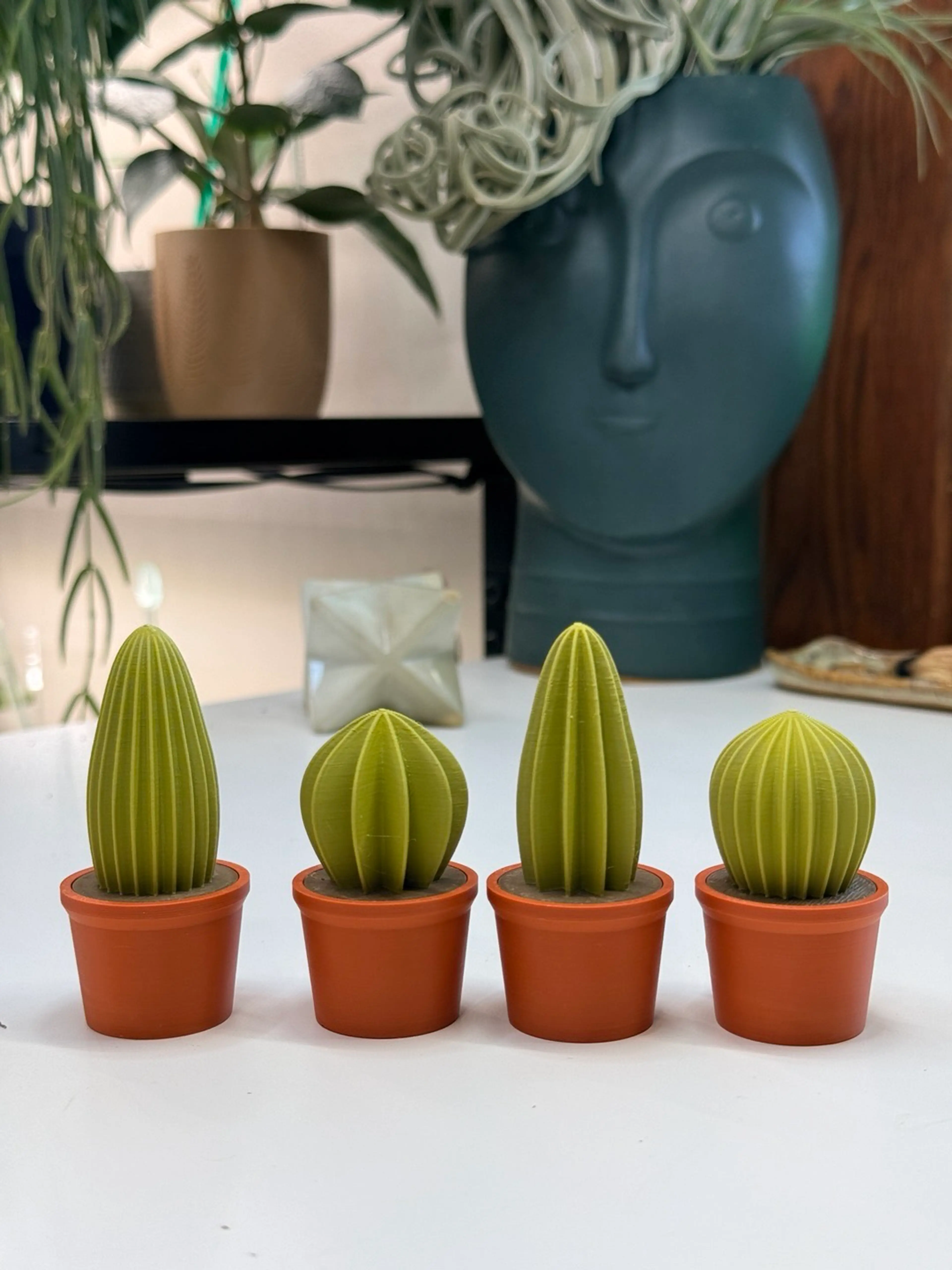 Plant & Crystal Accessories!