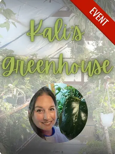 🤓Hoyas 101: My Experience With Seeds, Props, And Pests